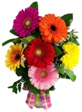 online gerbera flowers to makati city