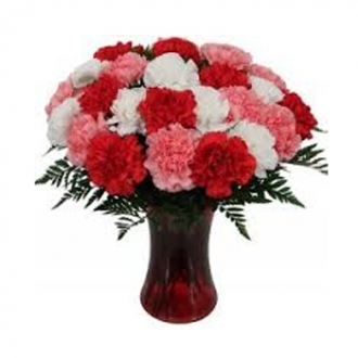 24 Mixed Carnations with Free Vase