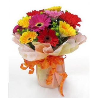 12 Mixed Color Gerberas